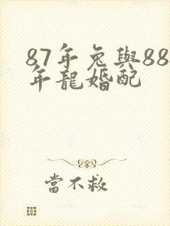 87年兔与88年龙婚配