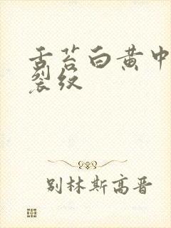 舌苔白黄中间有裂纹