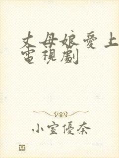 丈母娘爱上女婿电视剧