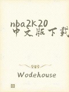 nba2k20中文版下载官网