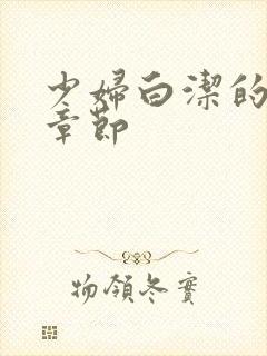 少妇白洁的幸福章节