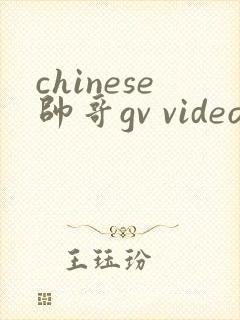 chinese帅哥gv video封面