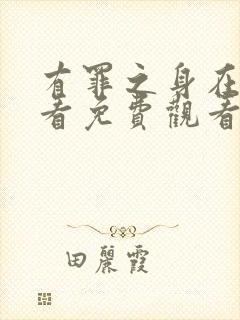 有罪之身在线观看免费观看高清全集