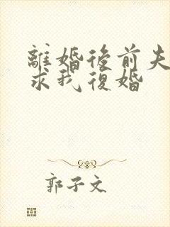 离婚后前夫哭着求我复婚