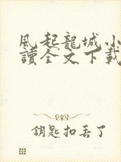 风起龙城小说阅读全文下载