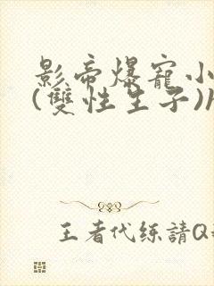 影帝爆宠小骚妻(双性生子)h