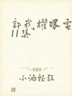 许我耀眼电视剧11集