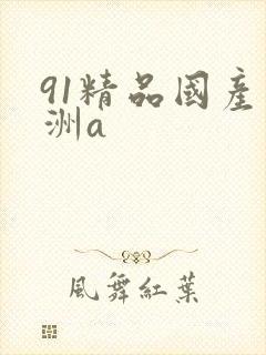 91精品国产亚洲a