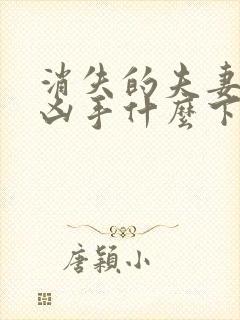 消失的夫妻四个凶手什么下场