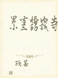 男方婚内出轨给小三的钱可以追回吗