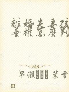 离婚夫妻孩子抚养权怎么判