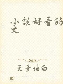 小说好看的高干文