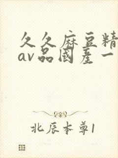 久久麻豆精亚洲av品国产一区