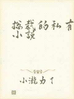 总裁的私有宝贝小说