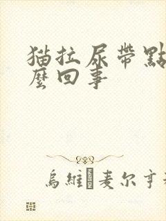 猫拉尿带点血怎么回事封面