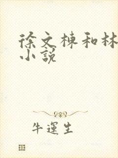 徐文栋和林依人小说