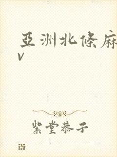 亚洲北条麻纪av