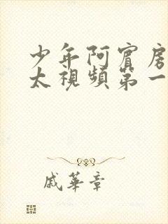 少年阿宾房东太太视频第一集