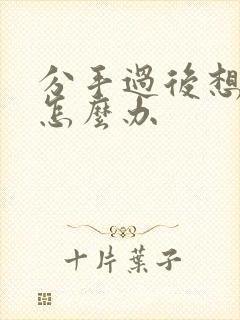 分手过后想复合怎么办封面