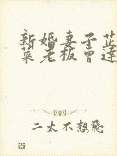 新婚妻子芷珊与菜老板曹达华