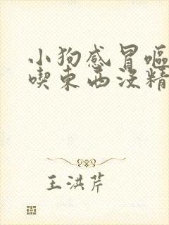 小狗感冒呕吐不吃东西没精神怎么办封面