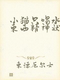 小猫只喝水不吃东西精神状态不好