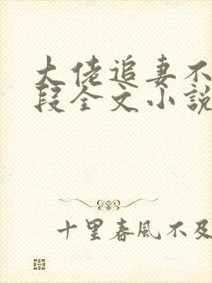 大佬追妻不择手段全文小说阅读全文封面