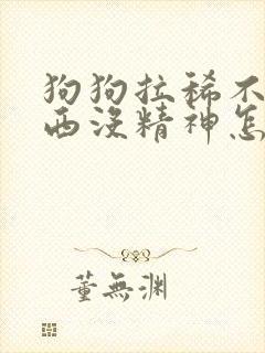 狗狗拉稀不吃东西没精神怎么办