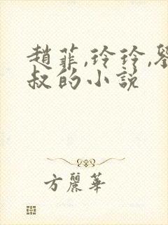 赵菲,玲玲,刘叔的小说封面