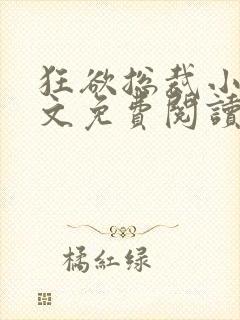 狂欲总裁小说全文免费阅读封面