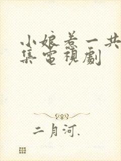 小娘惹一共多少集电视剧