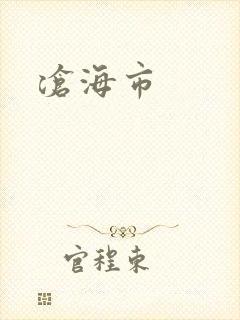 沧海市封面