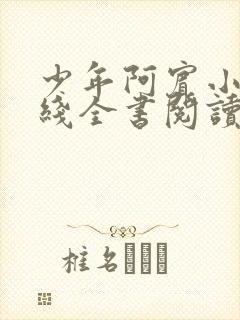 少年阿宾小说在线全书阅读无弹窗免费