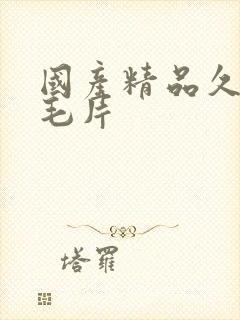 国产精品久久久毛片