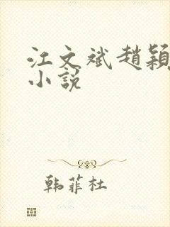 江文斌赵颖正版小说