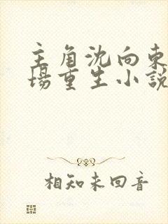 主角沈向东的官场重生小说封面