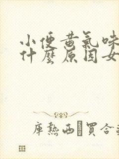 小便黄气味重是什么原因女封面