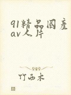 91精品国产成av人片