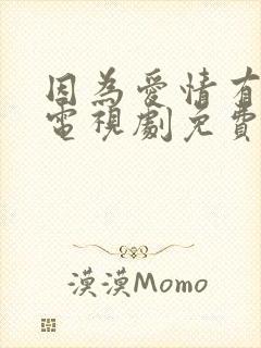 因为爱情有幸福电视剧免费观看全集