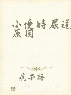 小便时尿道刺痛原因