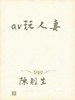 av玩人妻封面