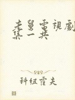 老舅电视剧多少集一共