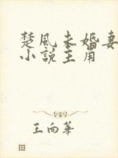 楚风未婚妻楚芸小说主角