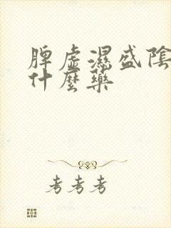 脾虚湿盛阴虚吃什么药