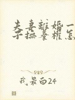 夫妻离婚一个孩子抚养权怎么判定