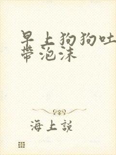 早上狗狗吐黄水带泡沫