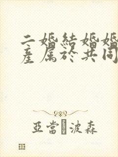 二婚结婚婚前财产属于共同财产吗