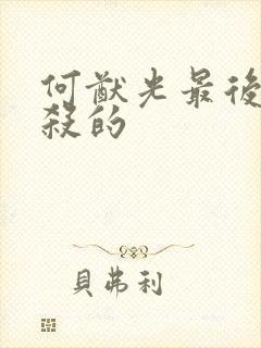 何猷光最后被谁杀的