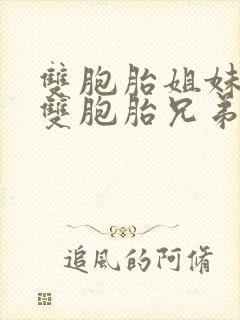 双胞胎姐妹嫁给双胞胎兄弟封面