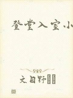 登堂入室小说